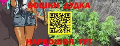 спайс Аша