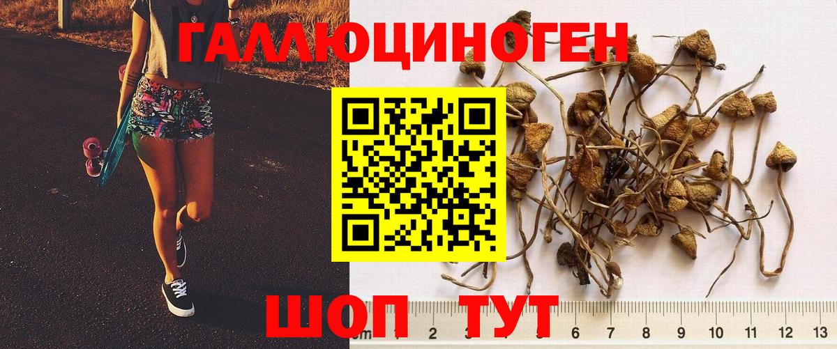 Калач-на-Дону  Галлюциногенные грибы MAGIC MUSHROOMS  Вход с VPN 